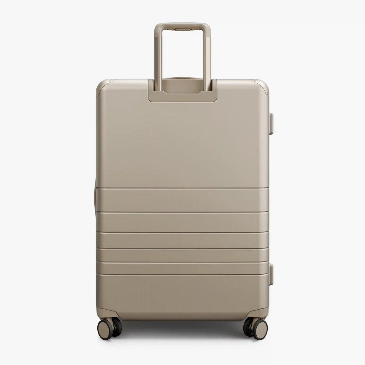 Hybrid Check-In Large